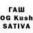 ТГК Wax Katelijn Hovestad