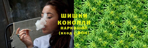 амф Бородино