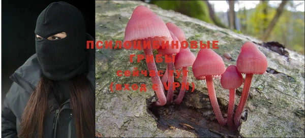 прущий лед Богородицк