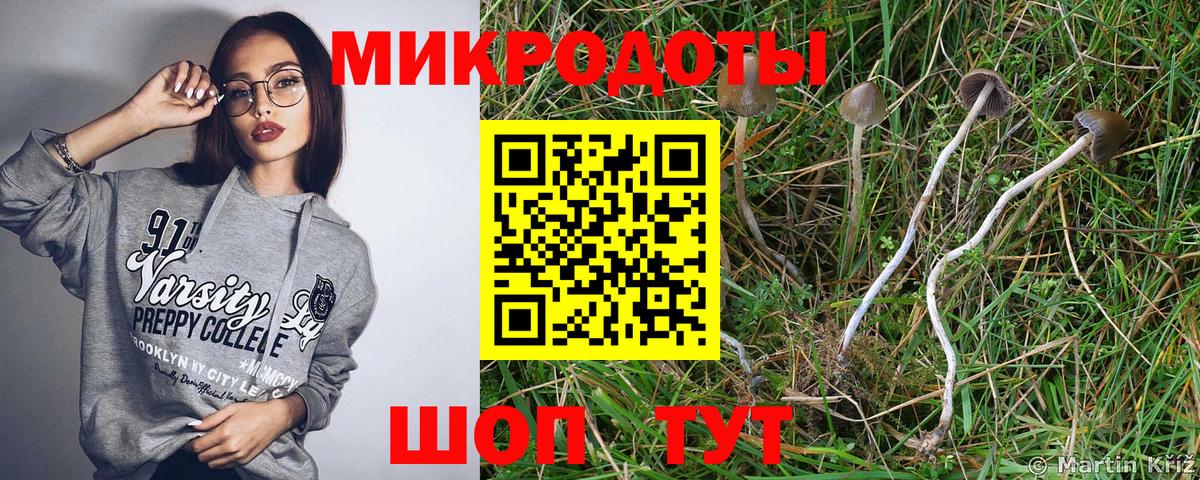 Псилоцибиновые грибы мухоморы Верхняя Пышма